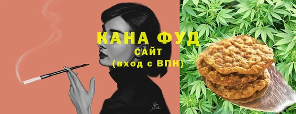 индика Заводоуковск
