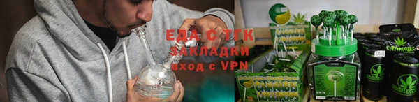 индика Заводоуковск