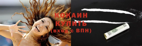 индика Заводоуковск