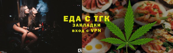 индика Заводоуковск