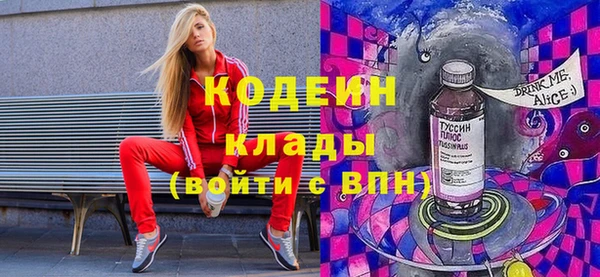 индика Заводоуковск